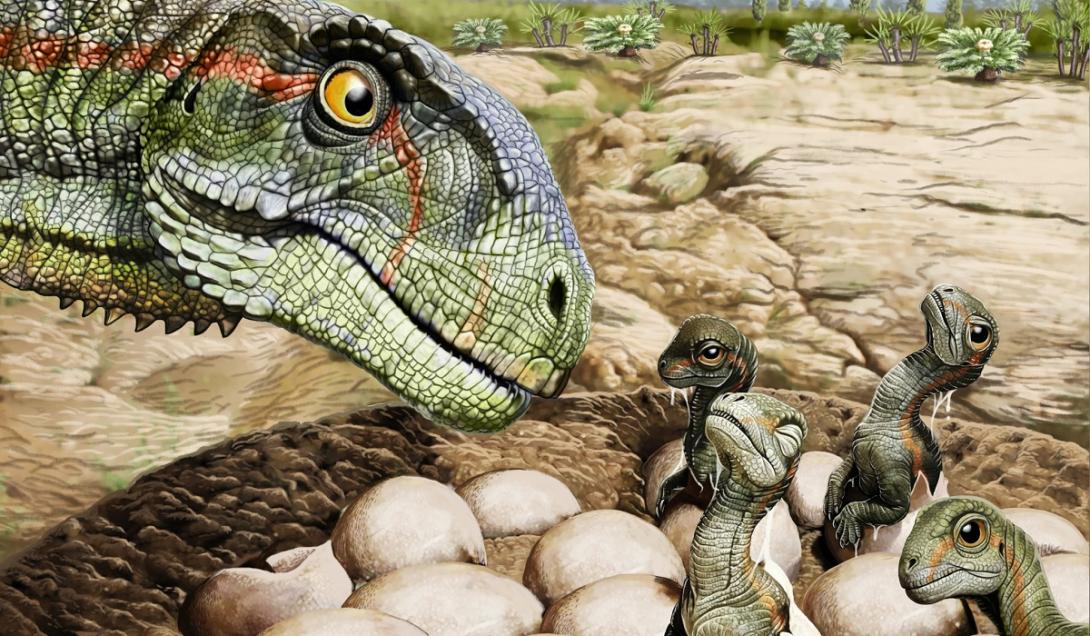 DESCOBERTA DE OVOS DE DINOSSAURO CONTENDO EMBRIÕES DESVENDA ENIGMA DE ...